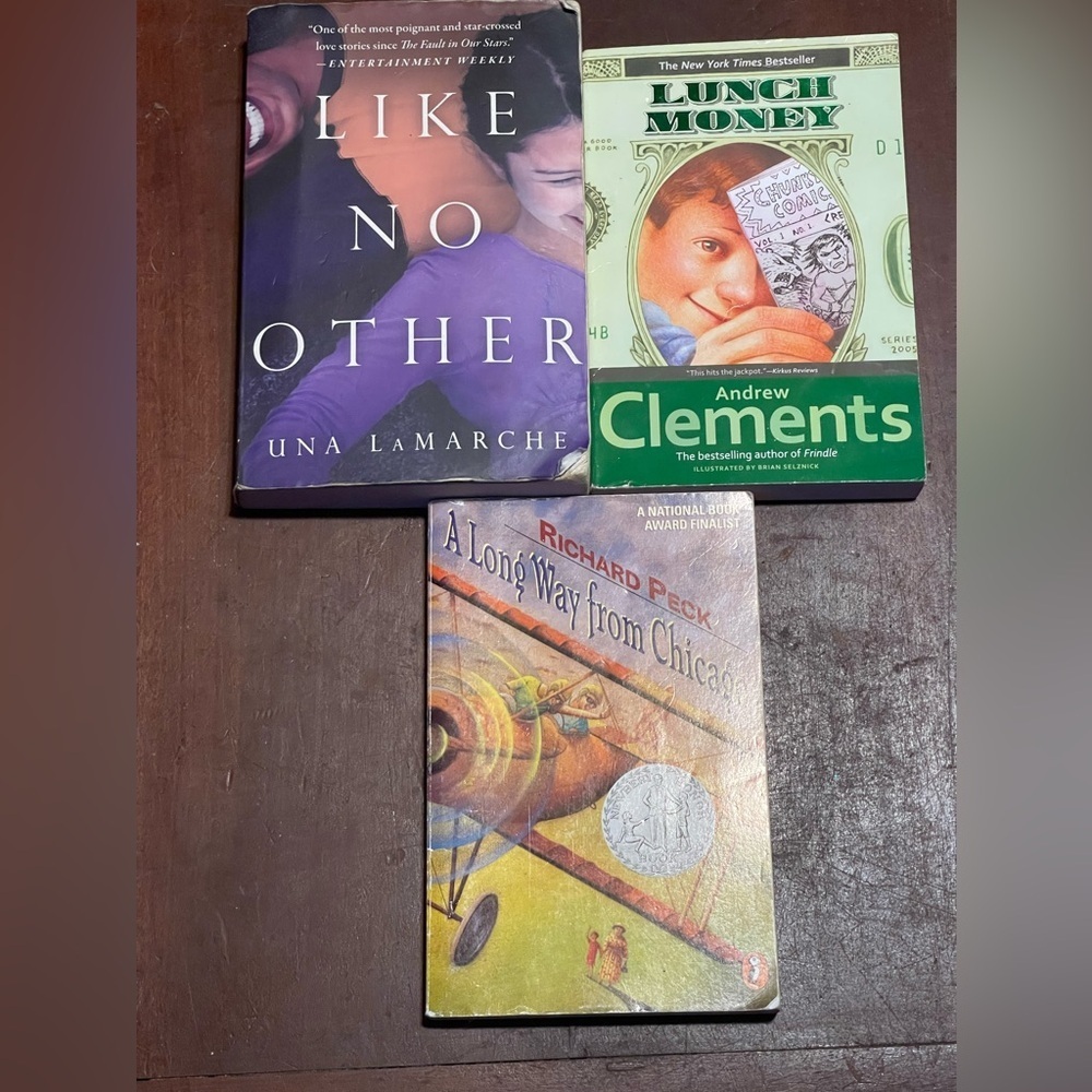Teen young adult book bundle
